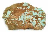 Polished Turquoise Slab - Number Mine, Carlin, NV #245507-1